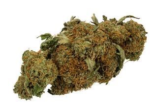 Dried Flower