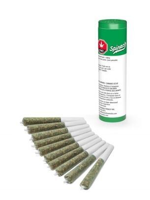 SPINACH - Kiwi Lime Punch [10 x 0.35g Indica]