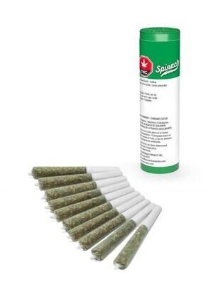 SPINACH - Kiwi Lime Punch [10 x 0.35g Indica]