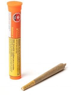 SPACE RACE CANNABIS - Saturn V [1 x 1g Hybrid]