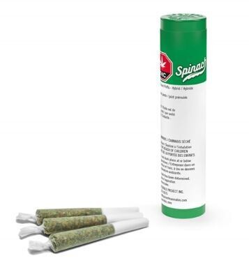 SPINACH - Sour Chem [ 3 x 0.5g Sativa]