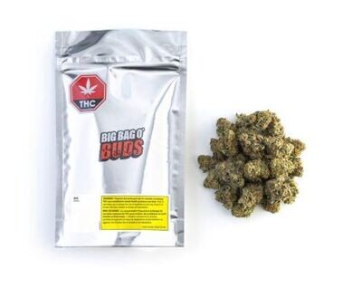 BIG BAG O BUDS - Tropicanna Tangie  [7g Sativa]