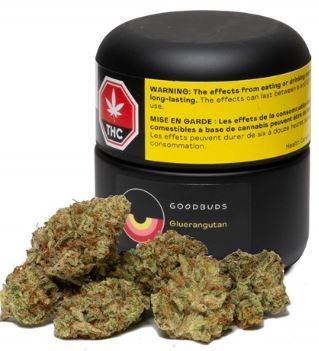 GOOD BUDS - Gluerangutan Smalls [3.5g Hybrid]