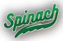 SPINACH STIX - GMO Cookies [10 X 0.4g Indica]