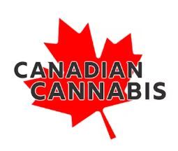 CANADIAN CANNABIS - Organic Sugar Haze  [1 x 0.5g Sativa]