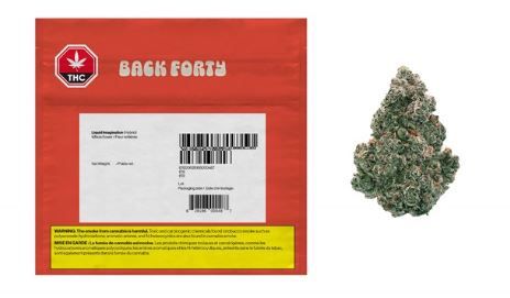 BACK FORTY - Galactic Jack [7g Sativa]