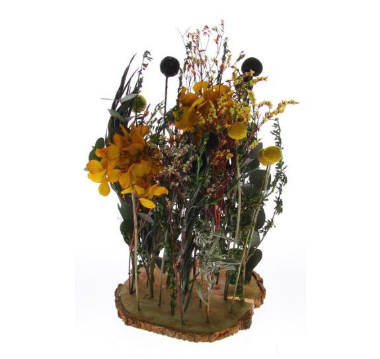 Droogbloemen schijf