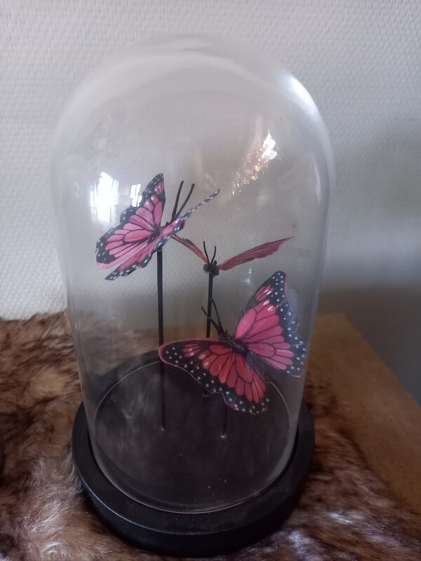 stolp butterfly pink