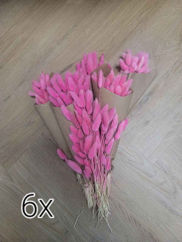 Droogbloemen lagarus roze