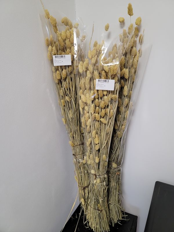 Droogbloemen couronne geel