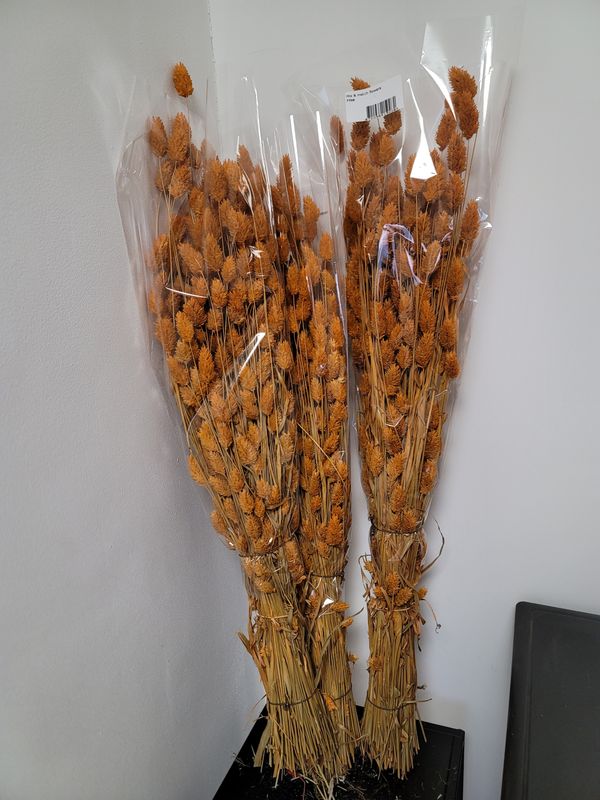 Droogbloemen couronne oranje
