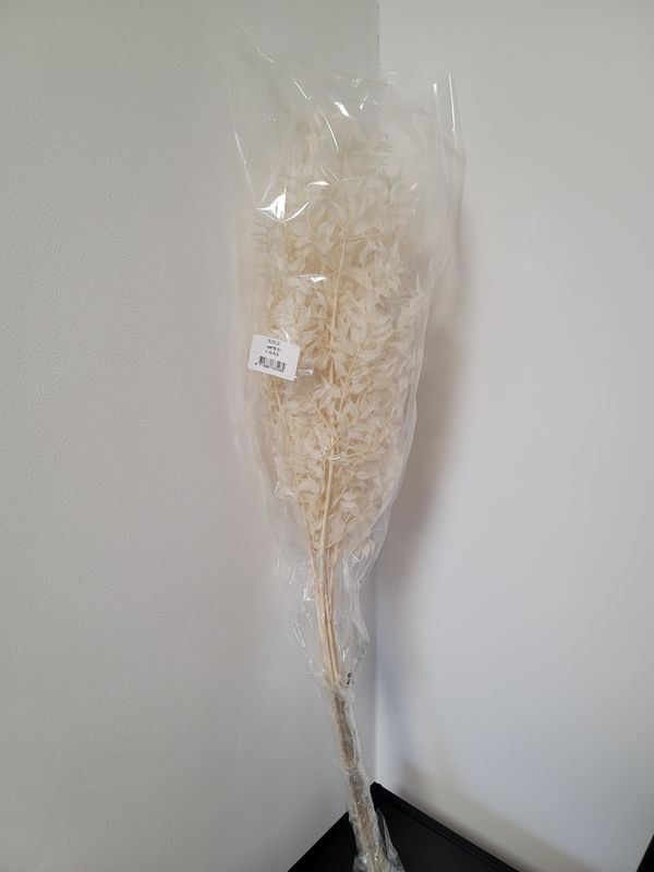 Droogbloemen ruscus wit 9 tak