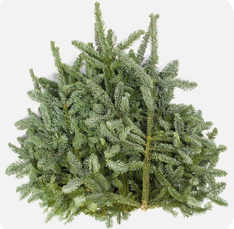 Nobilis groen 2,5 kilo