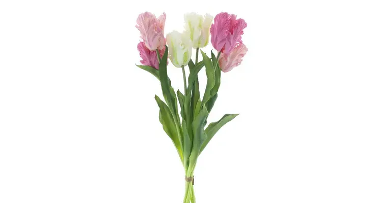 Real Touch Parrot tulip bundle Sally X6 mixed pink/cream 51cm