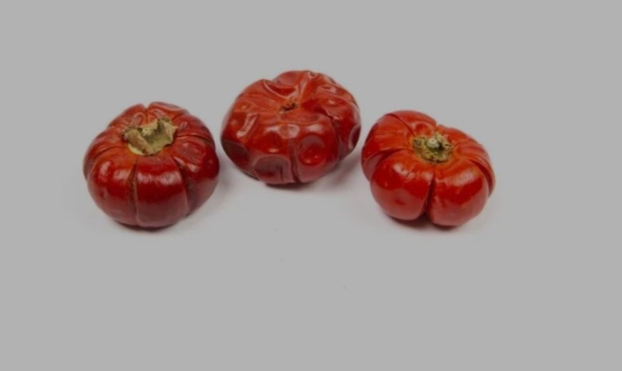 Solanum naturel 250 gram