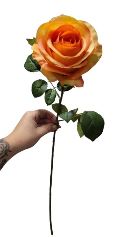 Oranje Roos
