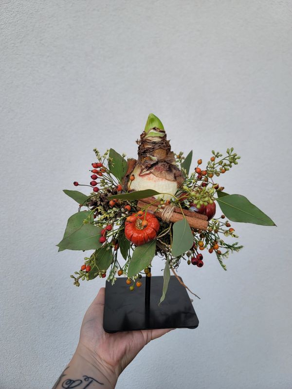 Amaryllis staander
