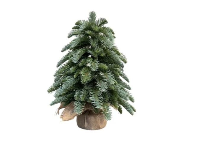 Nobilus tree 30 cm op voet in jutte green