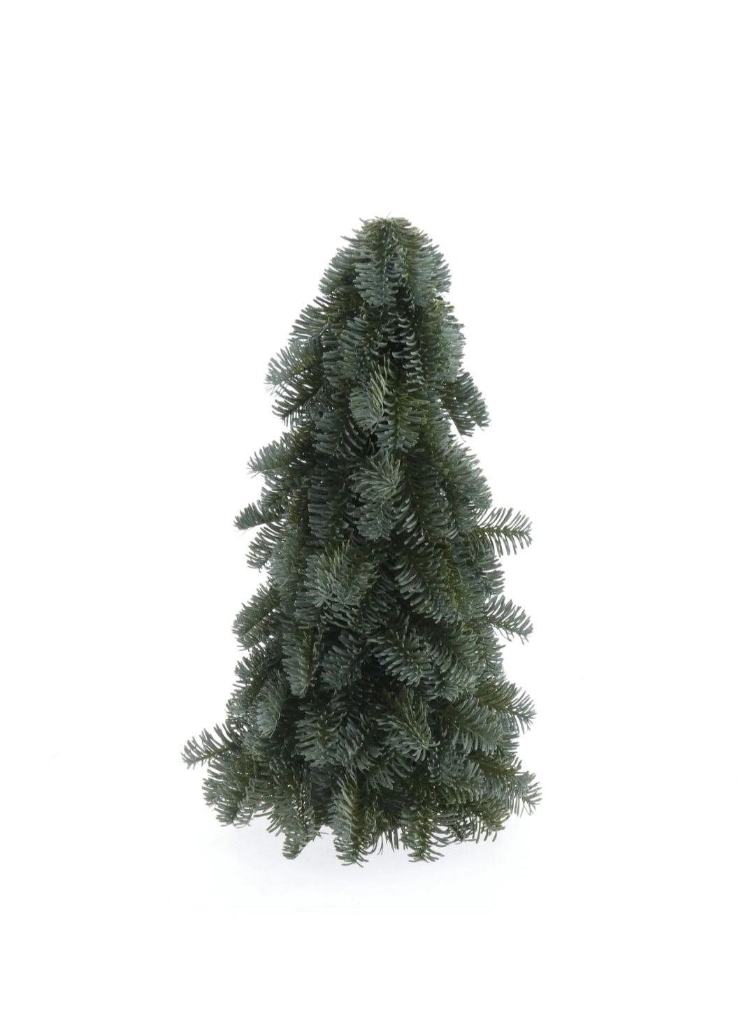Nobilis tree h50cm green