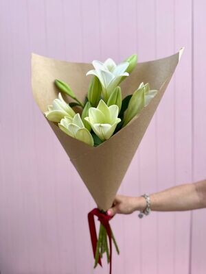 Christmas Lily's - 5 stems