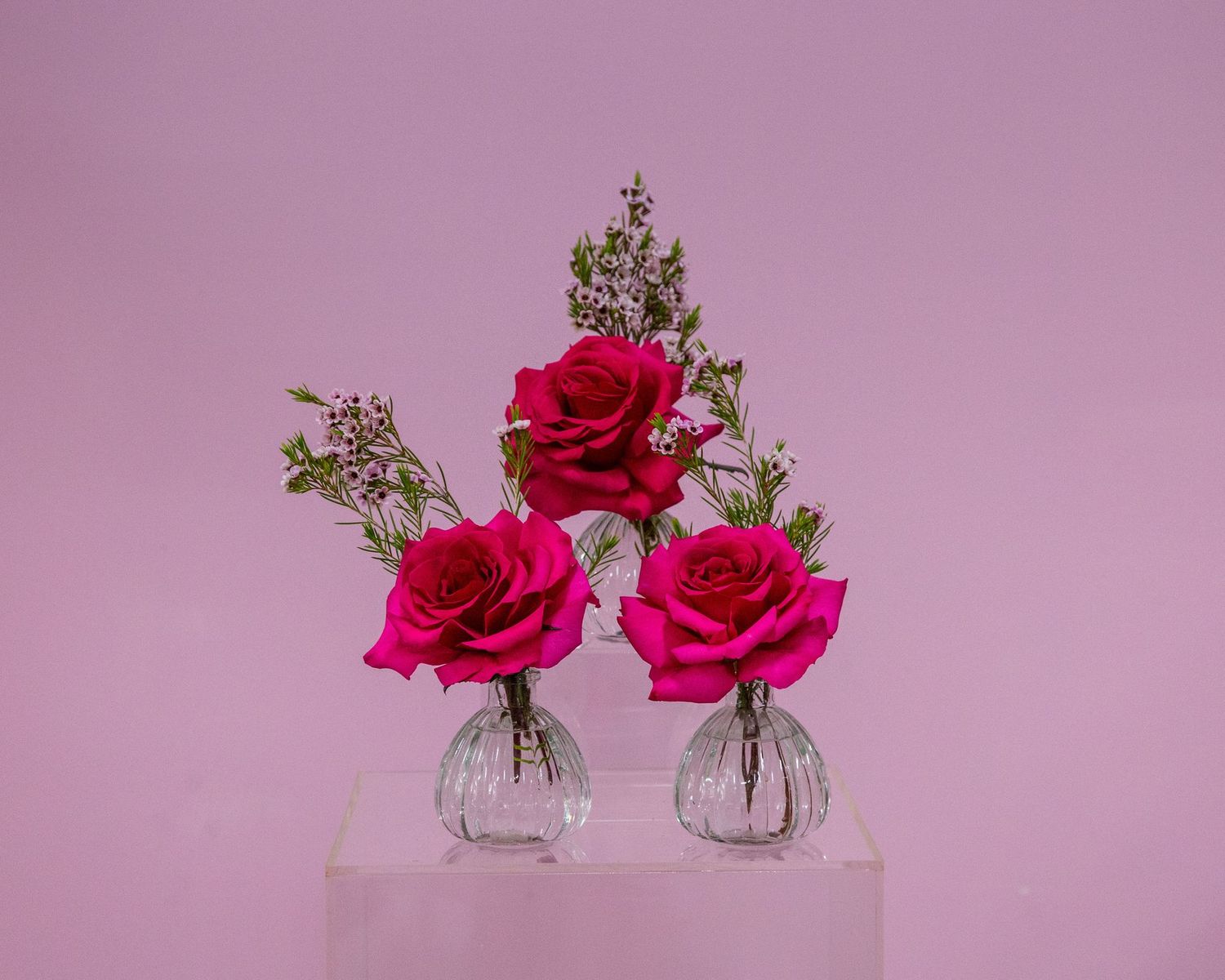 Budding Love