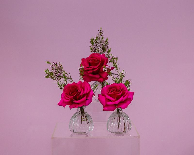 Budding Love