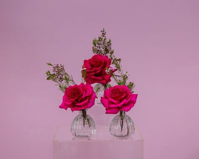 Budding Love