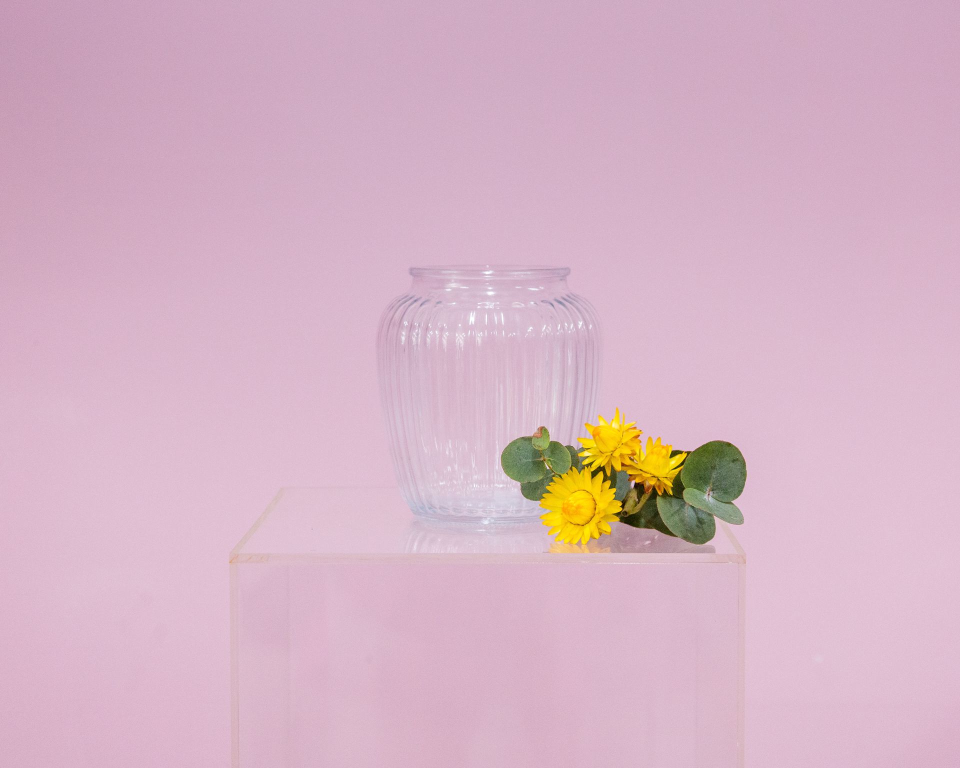 Glass Vase