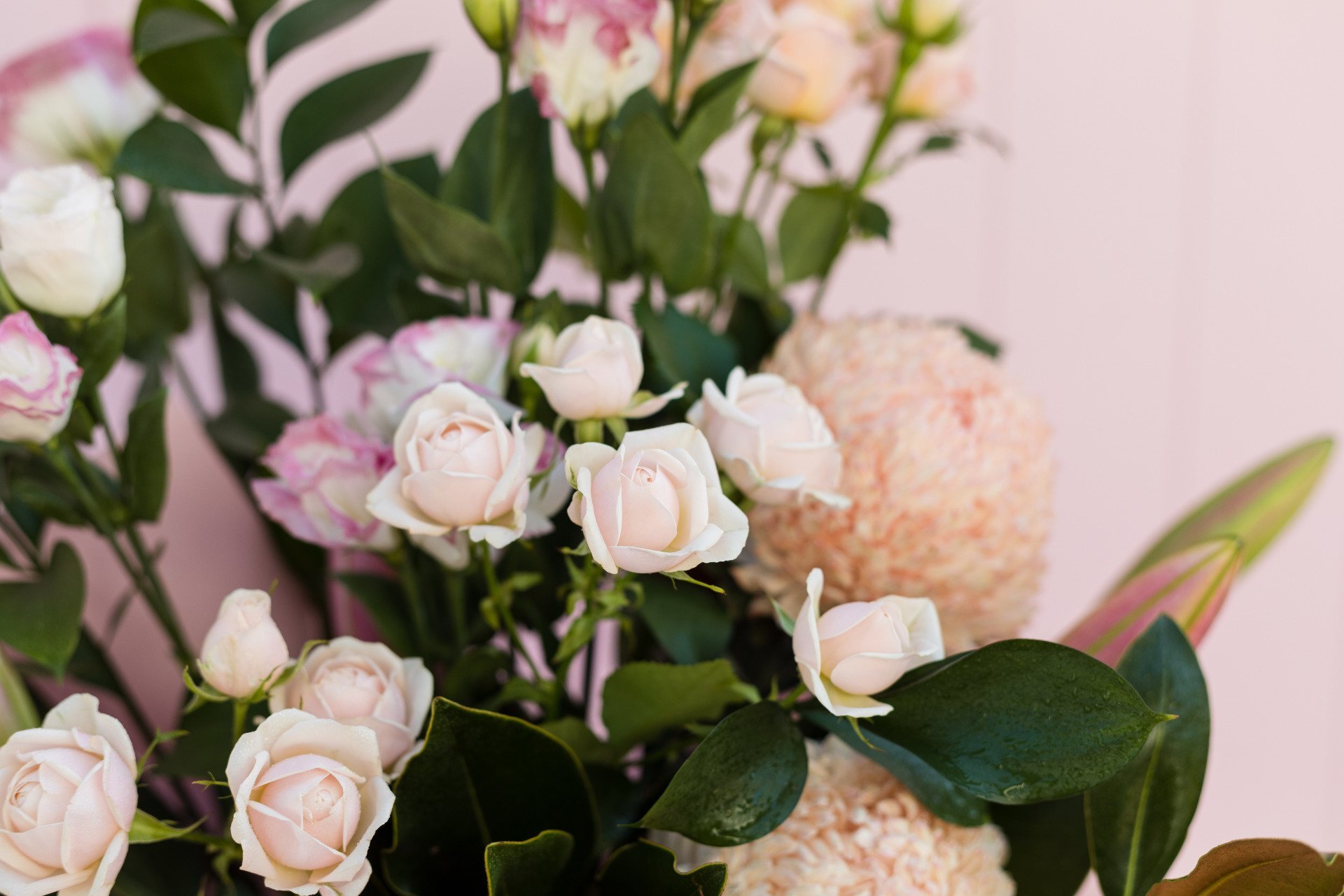 Luxe Boxed Arrangement