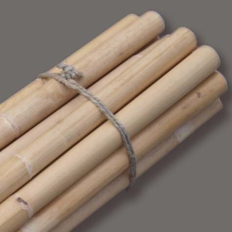 10 Rattan sticks, raw