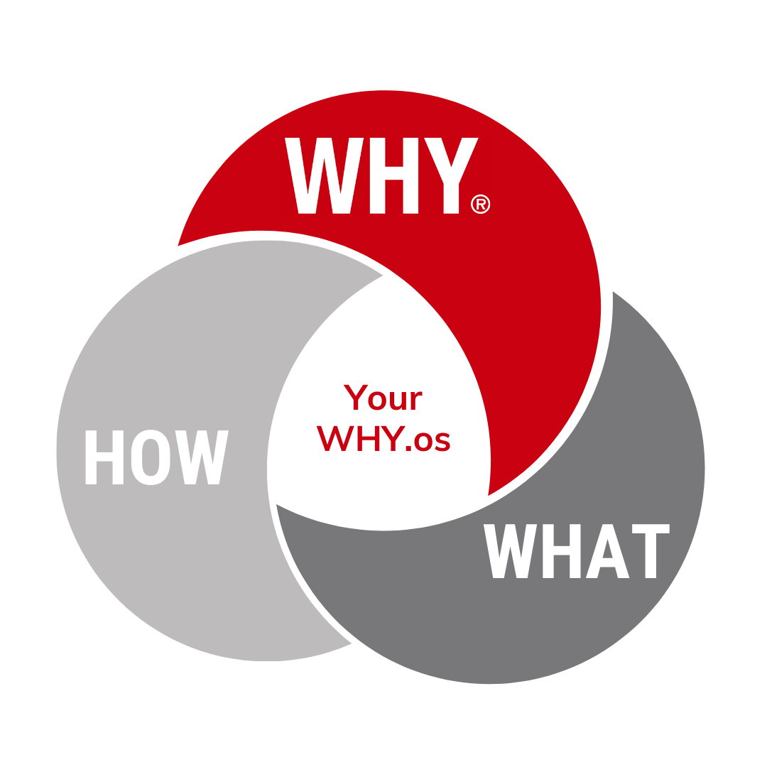 Le WHY.os Individuel