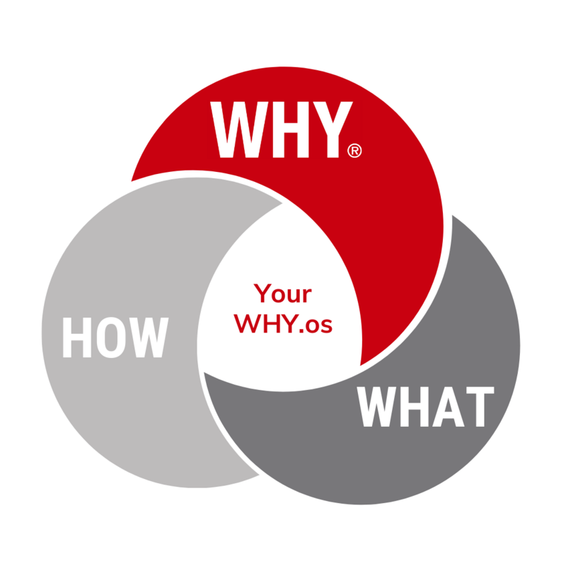 Découverte du WHY.os de vos collaborateurs ou candidats