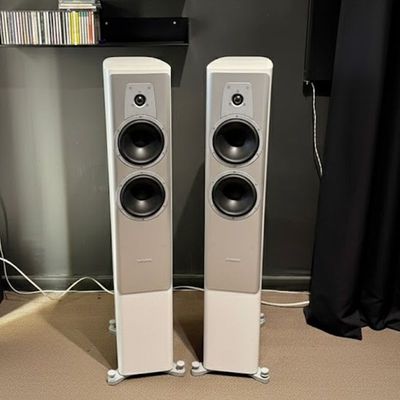 Dynaudio Contour 30 Ivory oak