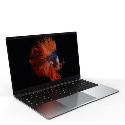 15.6inch laptop Gemini