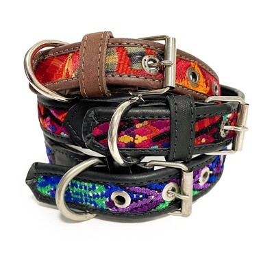 Pet Accessories