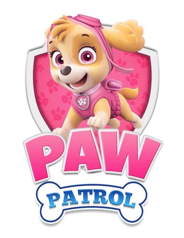 Custom Pawpatrol Tutu Set