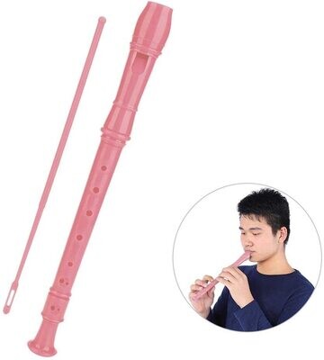 Flute clarinet Pink 8 Hole