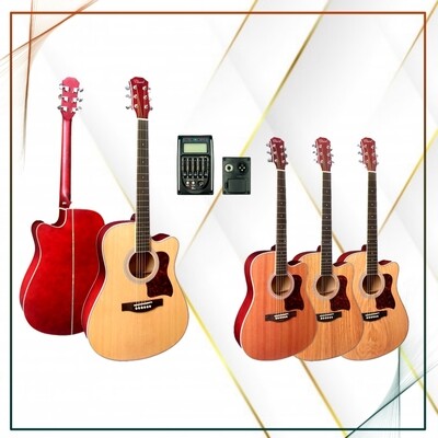 Acoustic Electric Guitars (15)