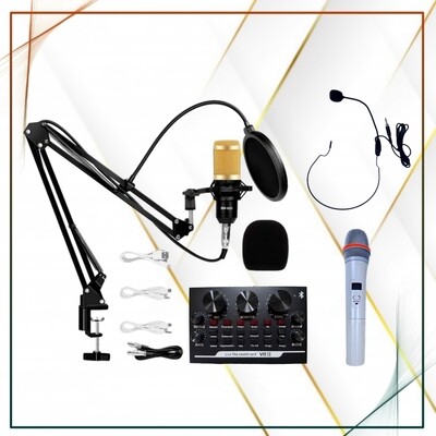 Microphones & Stands (8)