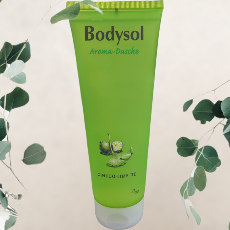 Bodysol Aroma-Duschgel, Gingko &amp; Limette, 250ml