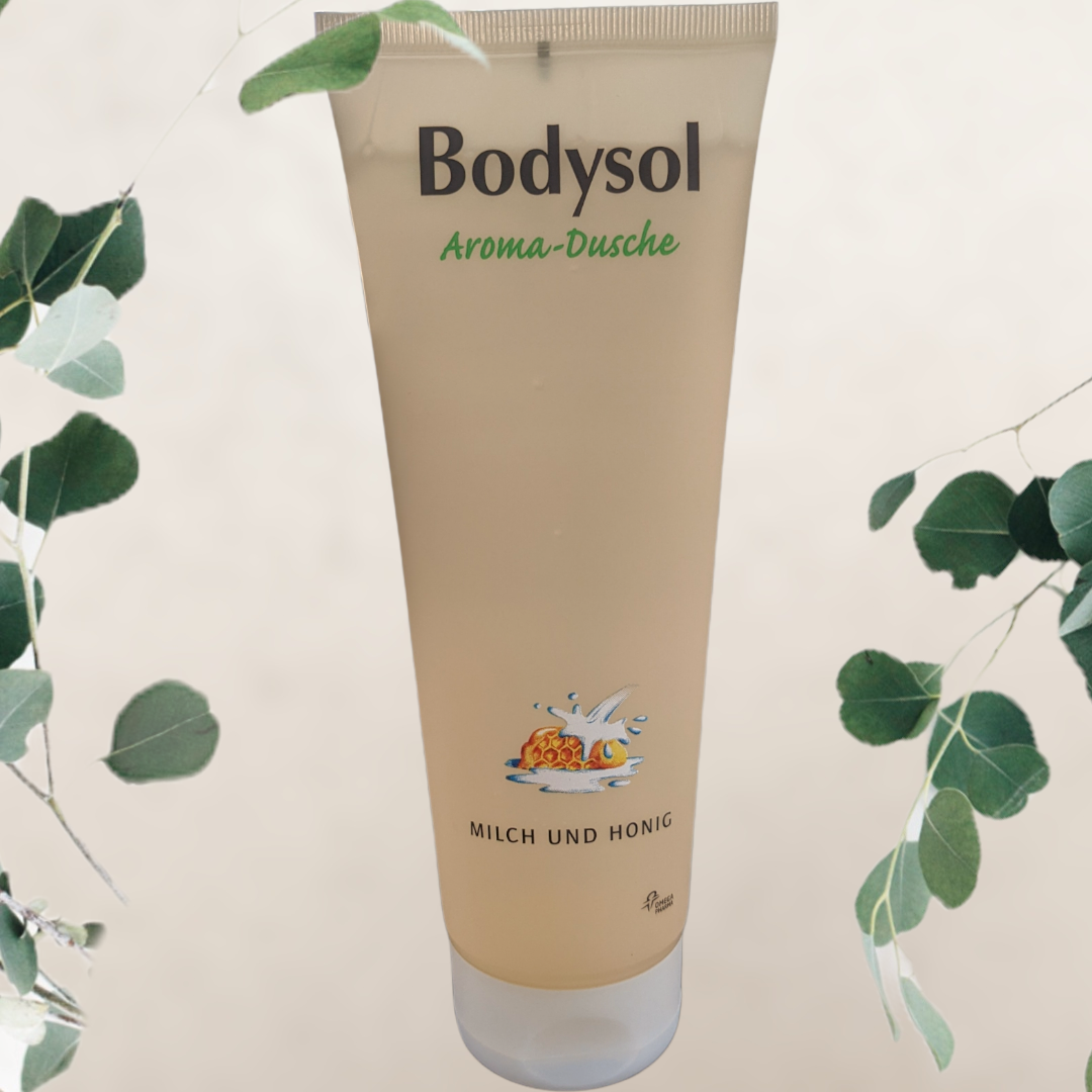 Bodysol Aroma-Duschgel, Milch &amp; Honig, 250ml