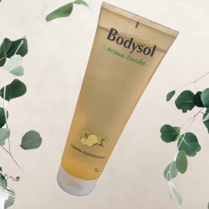 Bodysol Aroma-Duschgel, Lemon &amp; Zedernholz, 250ml
