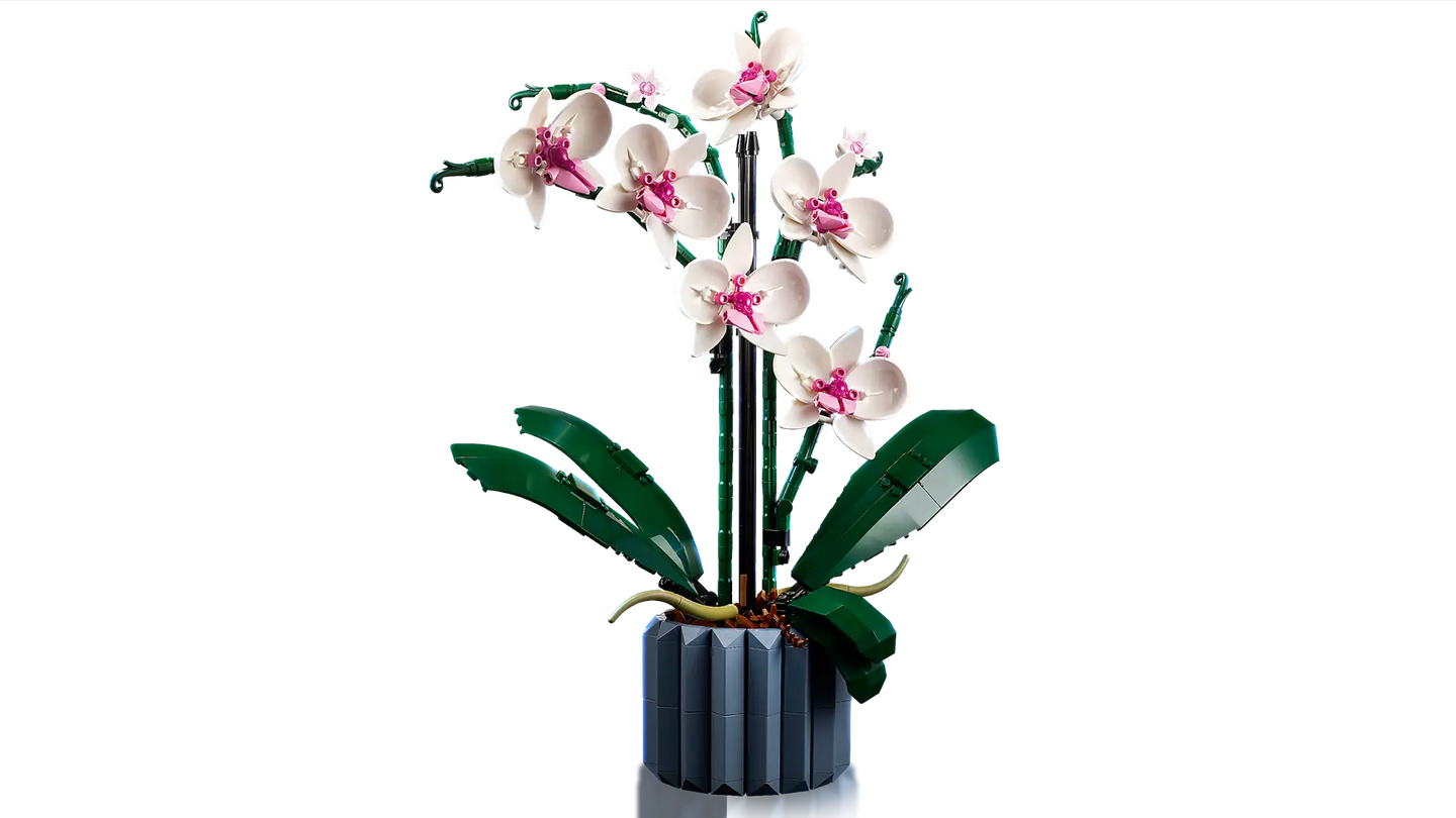 LEGO 10311 - Orchidee