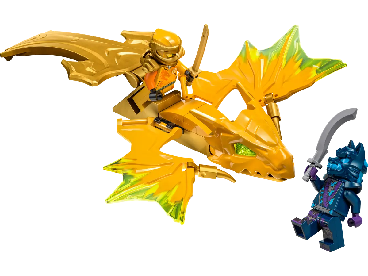 LEGO 71803 - Ninjago Arins Drachengleiter