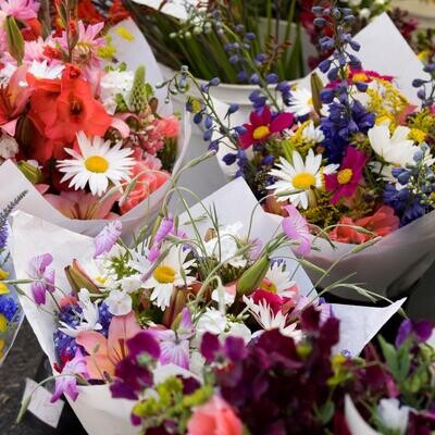 Blumenabo Starterpaket