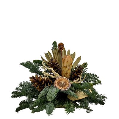 Birkenscheibe White-Washed