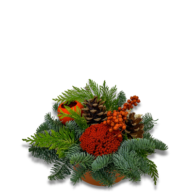 Schale Flach ø15cm | h25cm