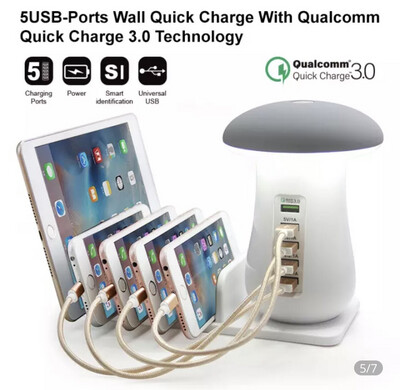 Multi functional charger with lamp for any time