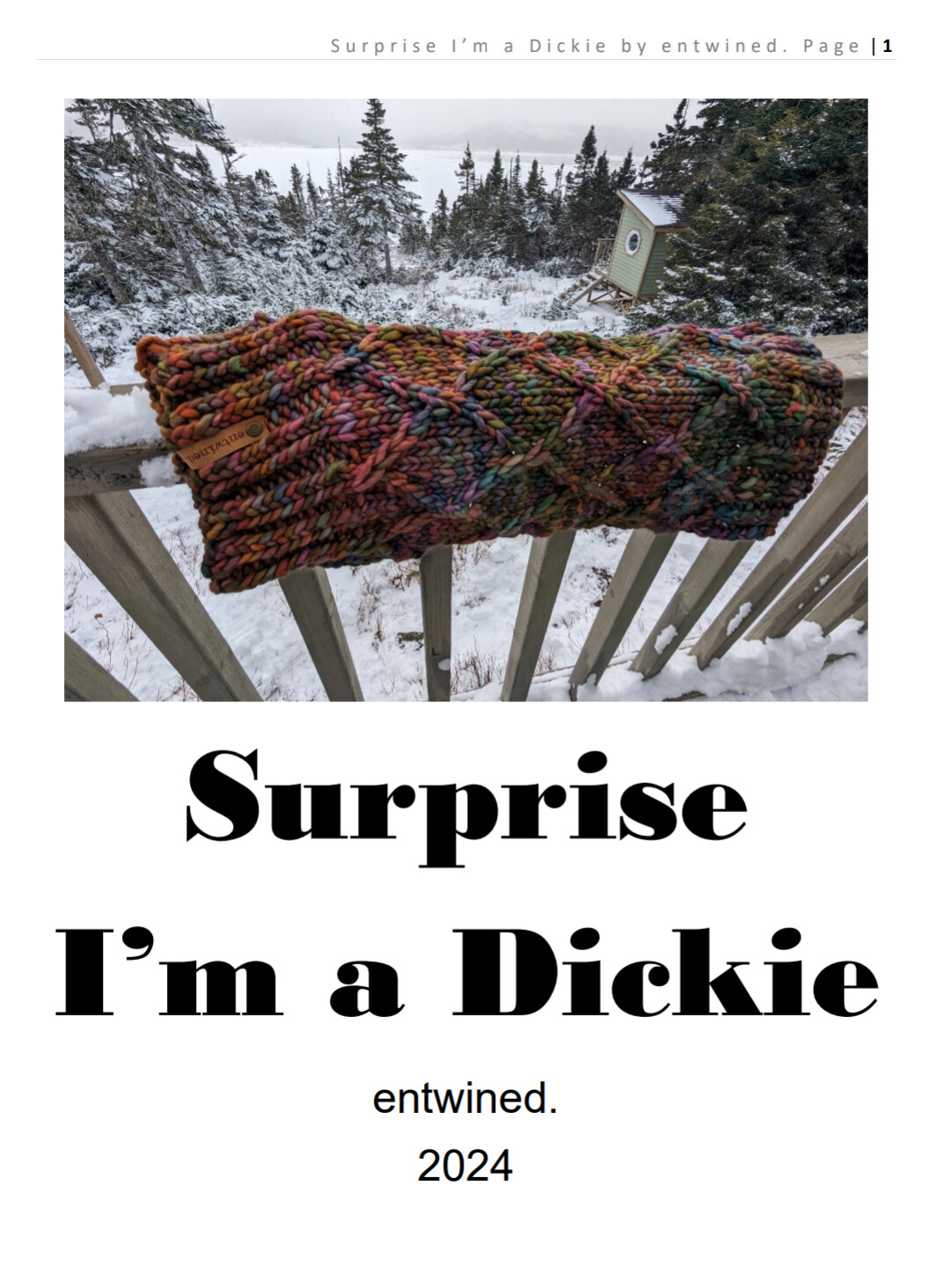 Surprise I&#39;m a dickie Knitting Pattern