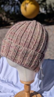 Scouter Beanie